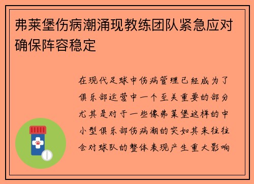 弗莱堡伤病潮涌现教练团队紧急应对确保阵容稳定