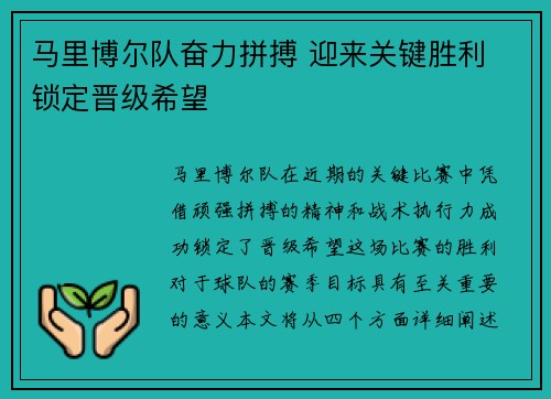 马里博尔队奋力拼搏 迎来关键胜利 锁定晋级希望